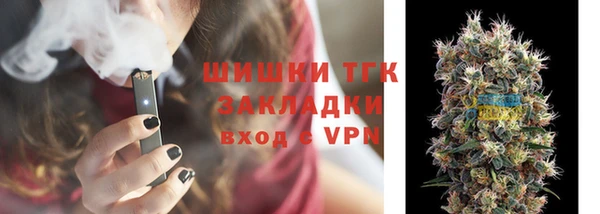 дмт Богородицк