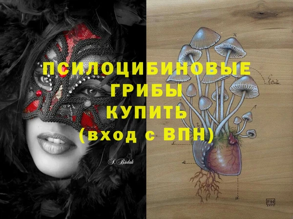 дмт Богородицк