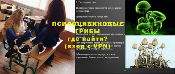 амф Беломорск