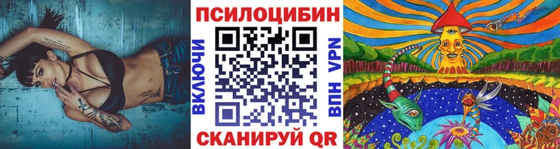 Галлюциногенные грибы Psilocybine cubensis  Катайск 